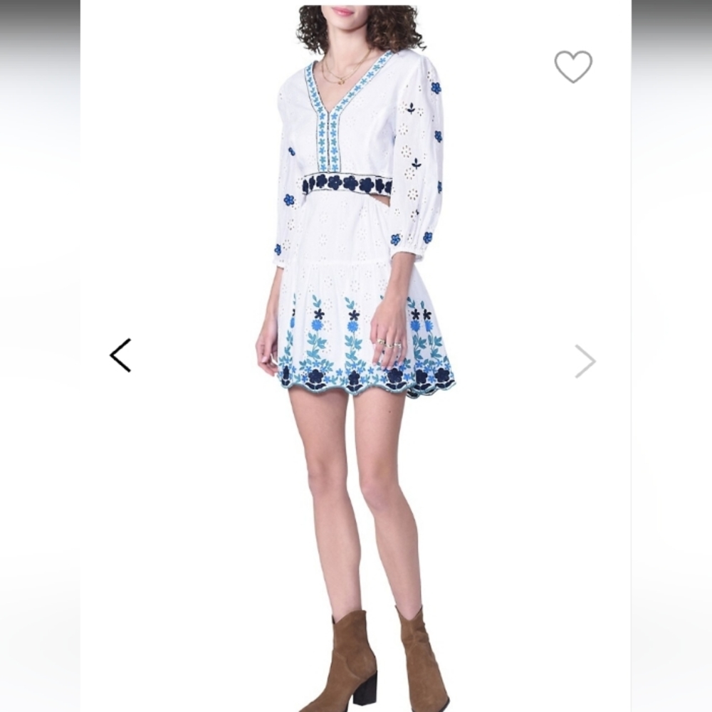 GREYLIN Embroidered Dress - Picture 3 of 11